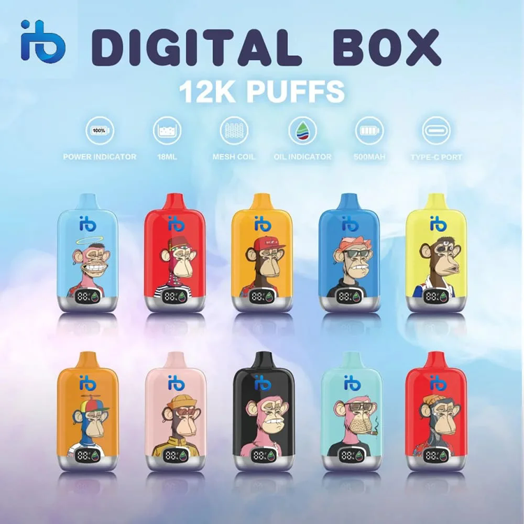 IBvape e-cigarette travel guide and can we carry e cigarettes in flight to india answered with rules tips and packing checklist