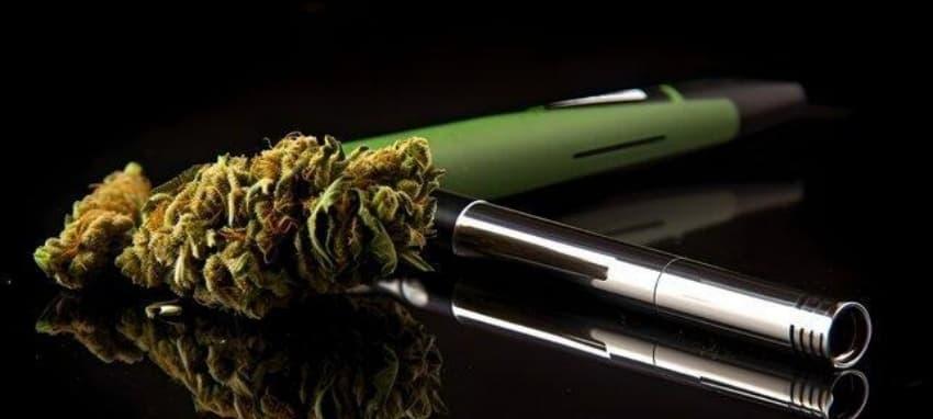link bóng đá roundups and expert analysis on the safety of e-cigarettes for stadium goers